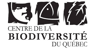 Udodesign Partner logo 